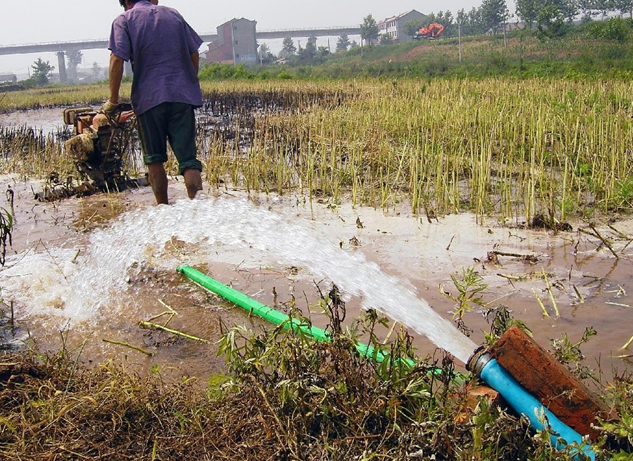 ��Ч����ϴ������