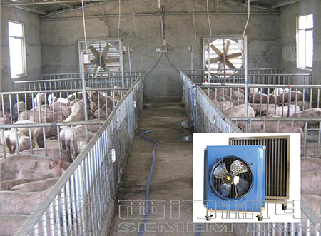 ������ů�����Ӧ�����